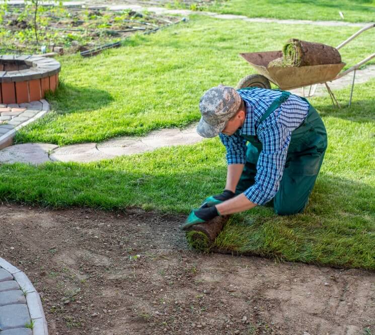 Engazonnement au Dorat : votre jardin prend forme !