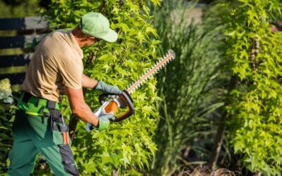 Entretien d’espaces verts au Dorat : sublimez vos espaces !