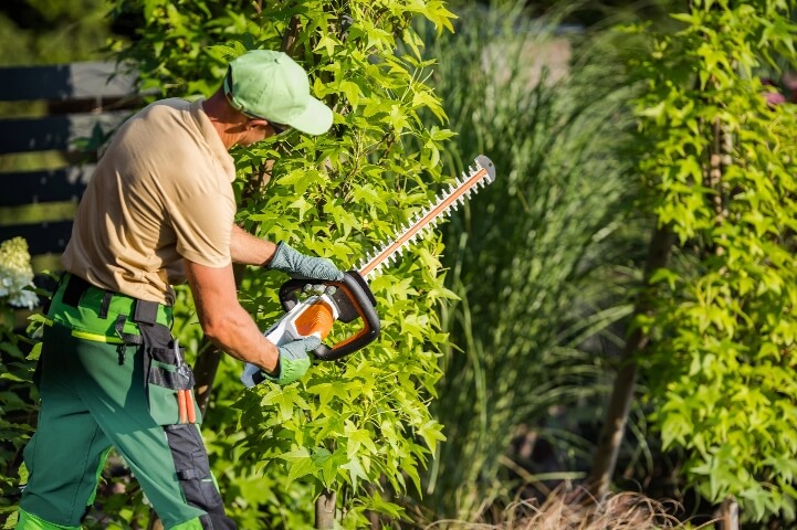 Entretien d’espaces verts au Dorat : sublimez vos espaces !