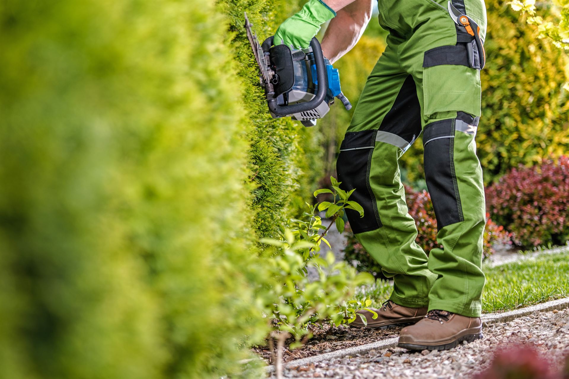 Jardinier paysagiste à Limoges : pour sublimer votre jardin